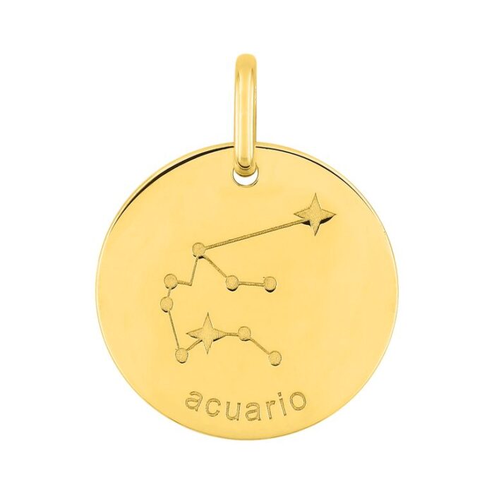 Colgante Zodiaco Acuario plor