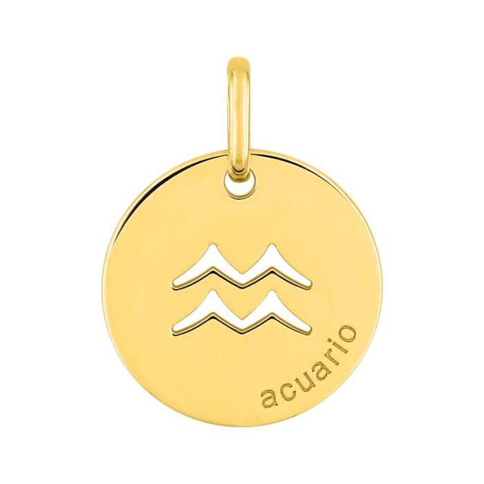 Colgante Zodiaco Acuario plor